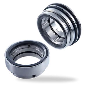 mechanical-seal-H-Brinker-HBPulace